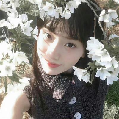 血战唐人街