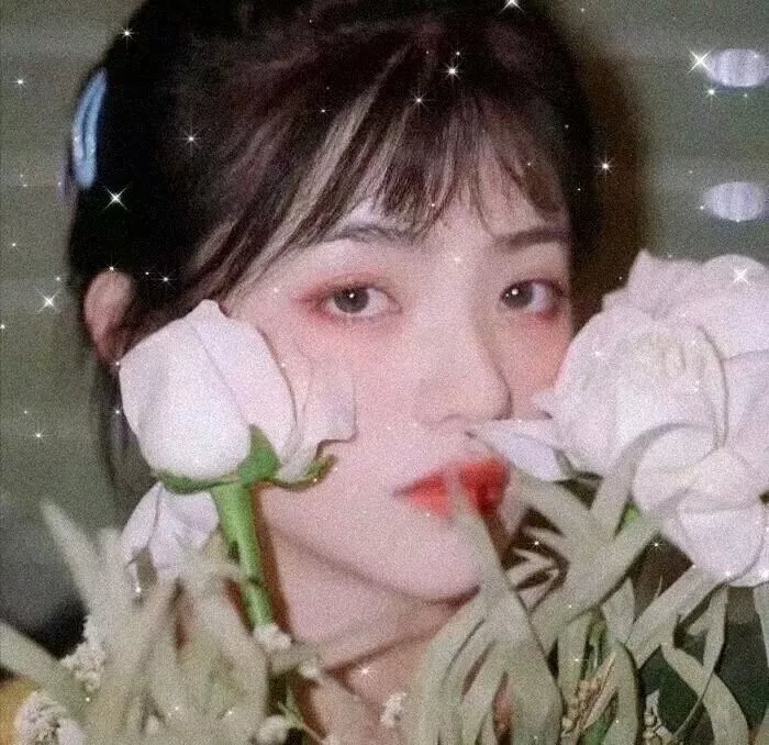 堕入地球的间谍